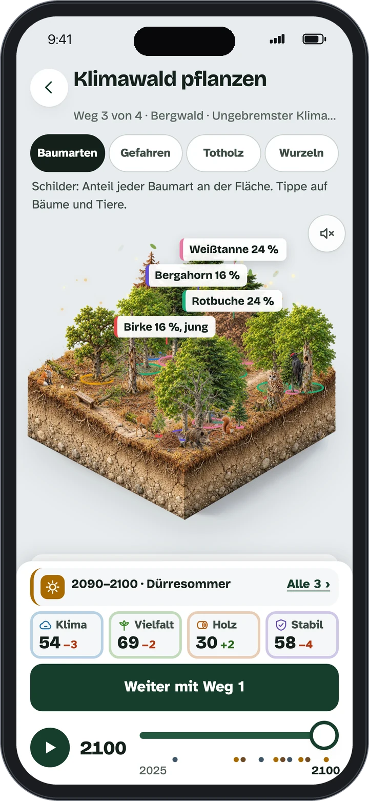 Waldzeit auf dem Handy: die Zeitreise durch 75 Jahre Wald